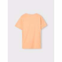 NAME IT Tee Jono Salmon Buff